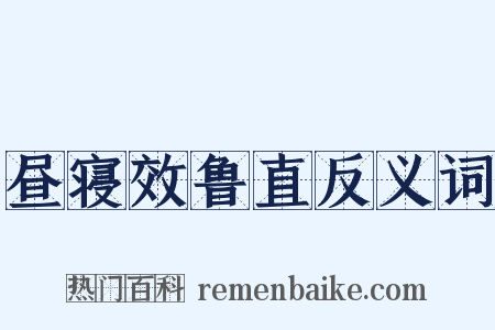 昼寝效鲁直反义词是什么意思的图片